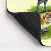 アメラウカナチキンファミリー マウスパッド (コーナー)