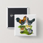 アメラウカナチキンファミリー 缶バッジ (正面&裏面)