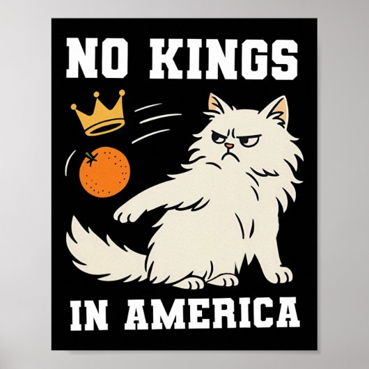 アメリおもしろいカには王はいない ポスター (正面)