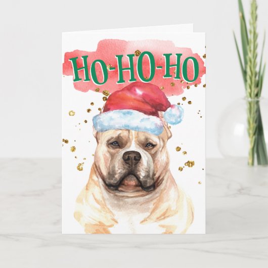 アメリおもしろいカのいじめなサンタハヤッピー シーズンカード (正面)