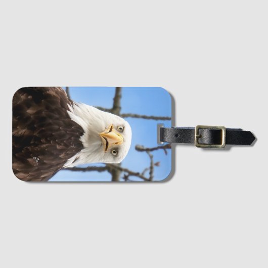 アメリおもしろいカのハゲ顔野生生物写真 ラゲッジタグ (正面横)