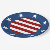 アメリはっきりしたカ ペーパープレート (アングル)