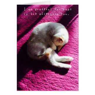 アメリアのすばらしい冒険ジャーナル