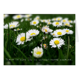 アメリアのすばらしい冒険ジャーナル