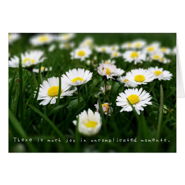 アメリアのすばらしい冒険ジャーナル (正面横)