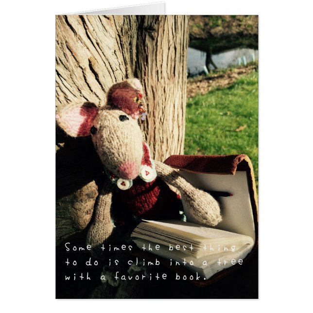 アメリアのすばらしい冒険 (正面)