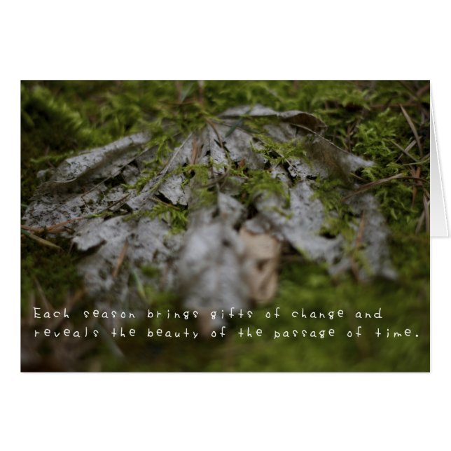 アメリアのすばらしい冒険 (正面横)