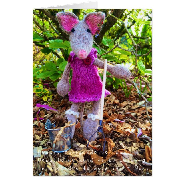 アメリアのすばらしい冒険 (正面)