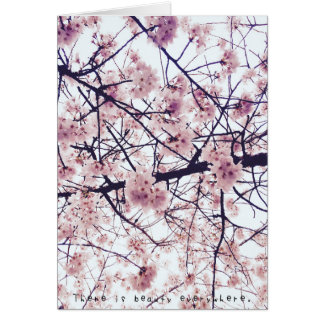 アメリアのすばらしい冒険