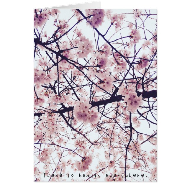 アメリアのすばらしい冒険 (正面)