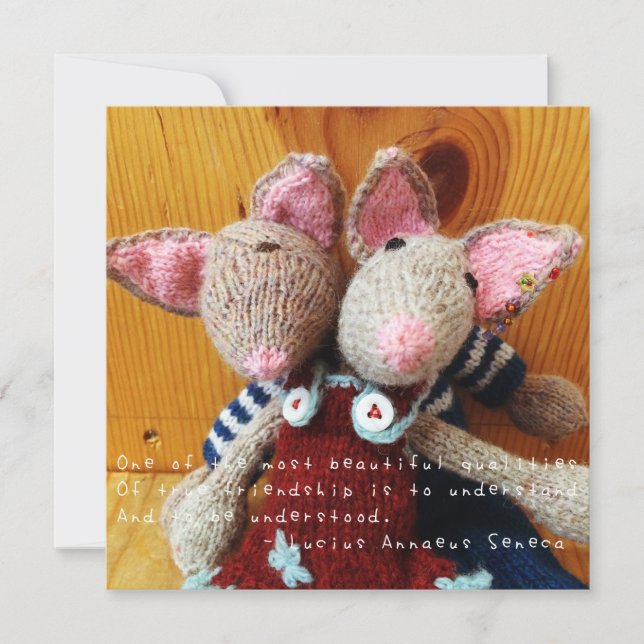 アメリアの素晴らしい冒険 (正面)