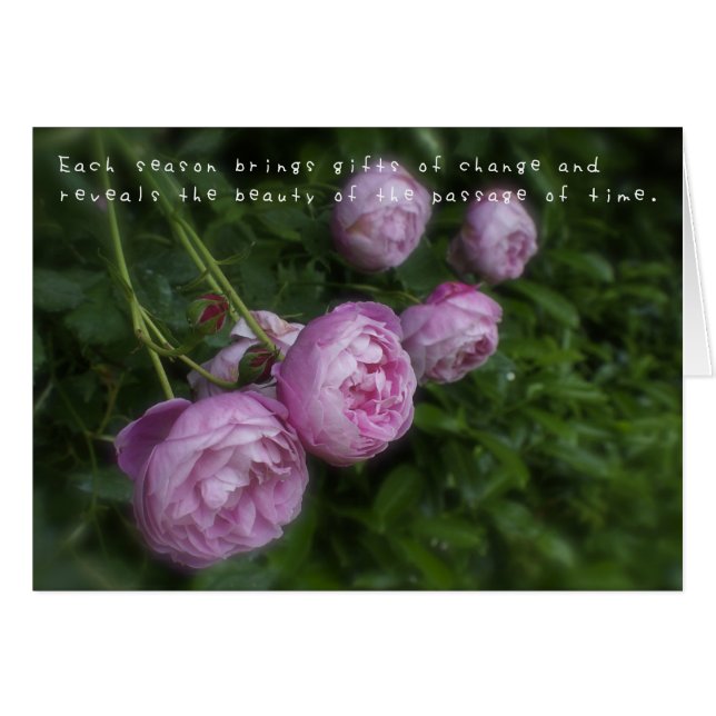 アメリアの素晴らしい冒険 (正面横)