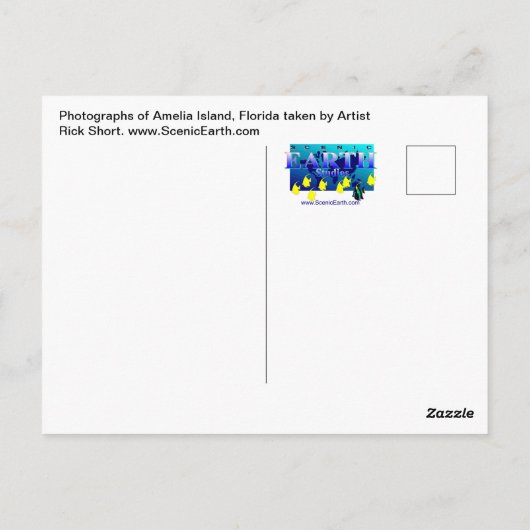 アメリアアイランドフロリダシースケープポストカード写真 ポストカード (裏面)