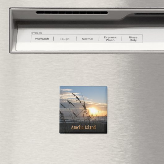 アメリアアイランド磁石 マグネット (インサイチュ (食洗機))