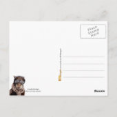 アメリアエアハート ポストカード (裏面)