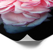 アメリアバラ ポスター (角)