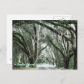 アメリア島はがき ポストカード (正面/裏面)