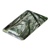 アメリア島、FLマグネット マグネット (左側)