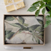 アメリア・ジェーン・マレーによる「ハンモックで休む妖精」 薄葉紙 (ギフト)