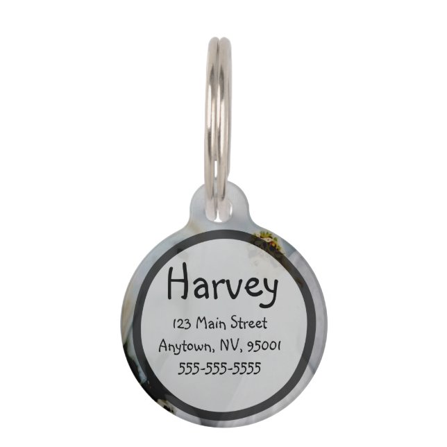 アメリアCarrie著心配の守り神そして白いフクロウ ペット　ネームタグ (正面)