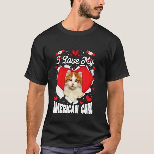 アメリカおもしろいのカールバレンタイン猫が大好き Tシャツ (正面)