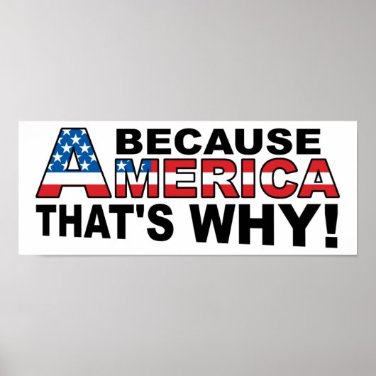 アメリカおもしろポスター ポスター (正面)