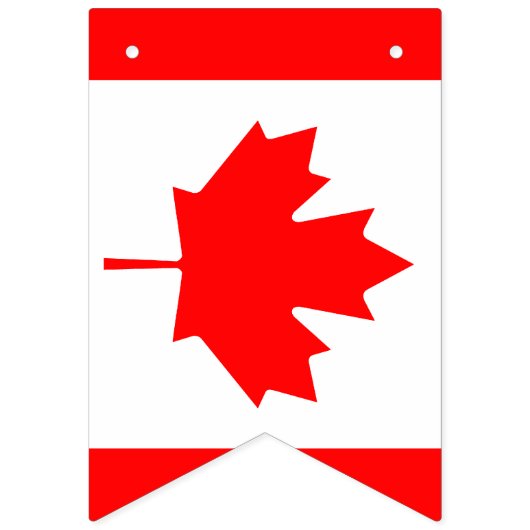 アメリカおよびカナダの国際的な結婚披露宴 バンティングフラッグ (第2の旗)