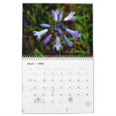 アメリカからのイメージ カレンダー (3月 2026)