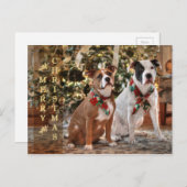 アメリカかわいいクリスマスの救助のピットブルおよびBull犬 シーズンポストカード (正面/裏面)