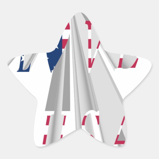 アメリカが大好き 星シール (正面)