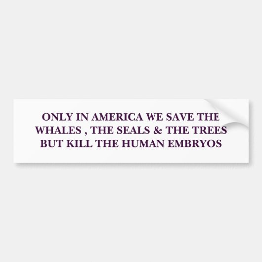 アメリカでだけ私達はクジラ、シールを…救います バンパーステッカー (正面)