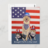 アメリカで生まれ育った! ポストカード (正面/裏面)