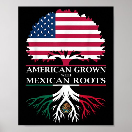 アメリカで育ち、メキシコのルーツを持つ ポスター (正面)