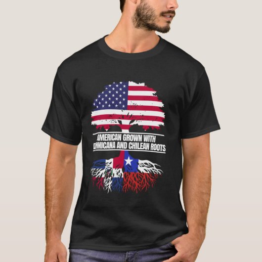 アメリカで育まれたドミニカ共和国とチリの伝統 Tシャツ (正面)