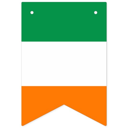 アメリカとアイリッシュ国際的の結婚式 バンティングフラッグ (第2の旗)