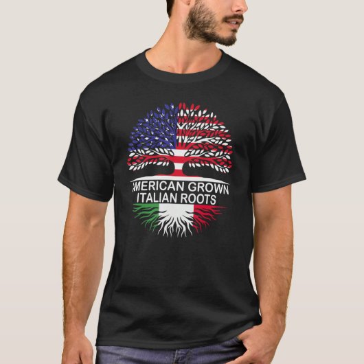 アメリカとイタリアがアメリカの成長したルーツにフラグをイタリアン付ける Tシャツ (正面)
