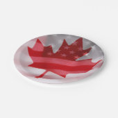 アメリカとカナダの国旗 ペーパープレート (アングル)