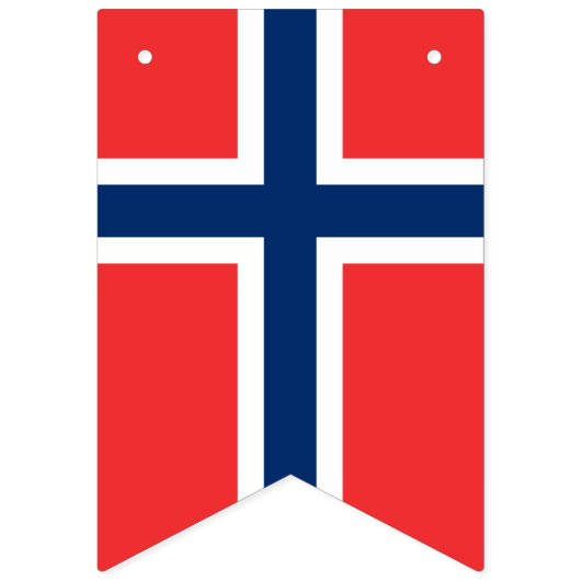 アメリカとノルウェー国際的の結婚式 バンティングフラッグ (第2の旗)