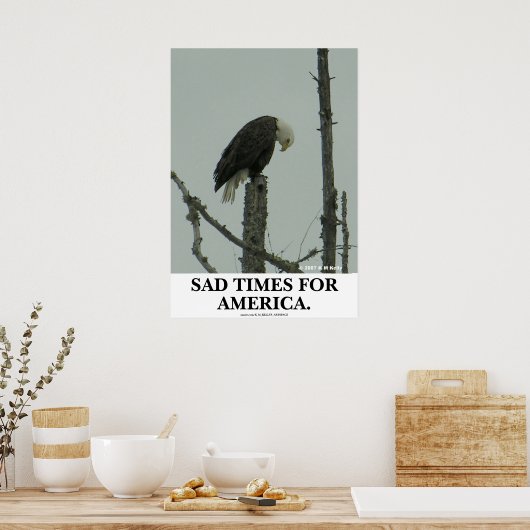 アメリカにとって悲しい時だ。 ポスター (キッチン)