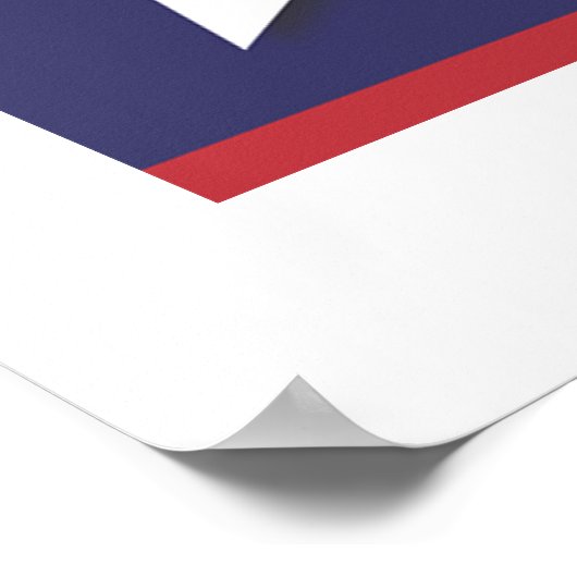 アメリカに投票する ポスター (角)