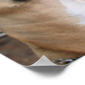 アメリカのいじめっ子犬。 ポスター (角)