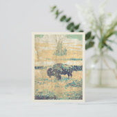 アメリカのはがきの平野のバッファロー ポストカード (スタンド正面)