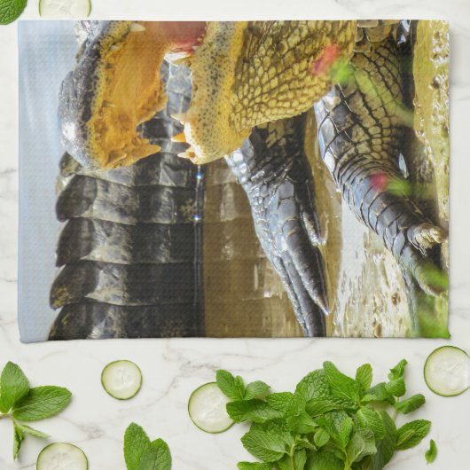 アメリカのわにクローズアップ。 さしせまった キッチンタオル (折り畳み)