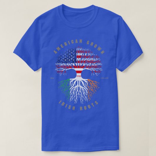 アメリカのアイリッシュルーツアイルランド国旗 Tシャツ (デザイン正面)