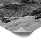 アメリカのアリゲーターが下を見る – 野生生物写真 ポスター (角)