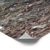 アメリカのアリゲーターポスター ポスター (角)