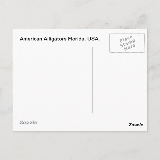 アメリカのアリゲーター ポストカード (裏面)