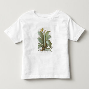 アメリカのアロエ: 「Hortus Eyから、アメリカアロエ トドラーTシャツ