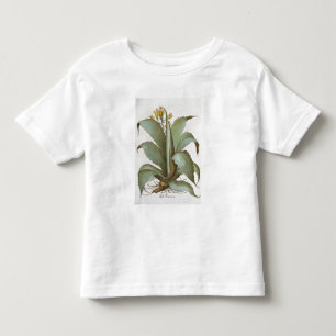 アメリカのアロエ: 「Hortus Eyから、アメリカアロエ トドラーTシャツ