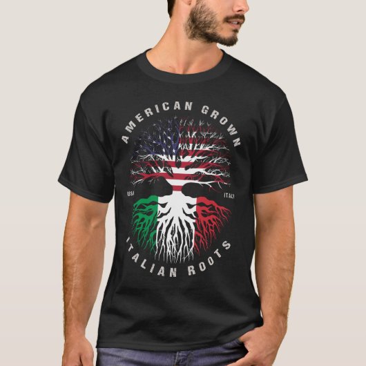 アメリカのイタリアンルーツイタリア国旗 Tシャツ (正面)